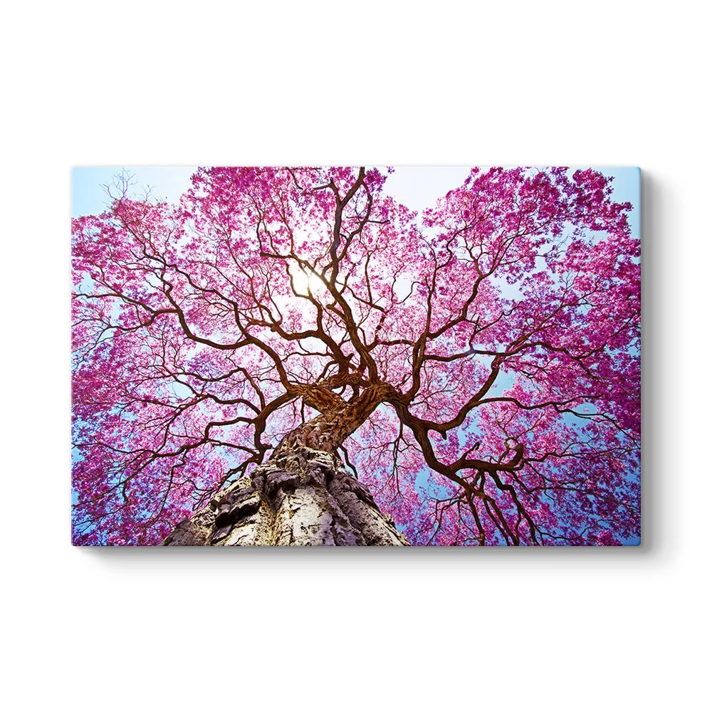 Pembe Lapaku Ağacı Tablosu - Model 1